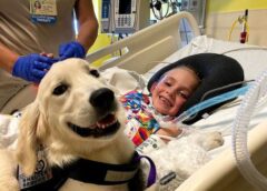 THE THERAPY DOG SAT ON HER BED—AND THAT’S WHEN THE MONITOR WENT WILD